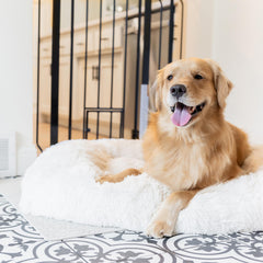 Extra-Wide Pressure-Mounted Pet Safety Gate with Small Pet Door