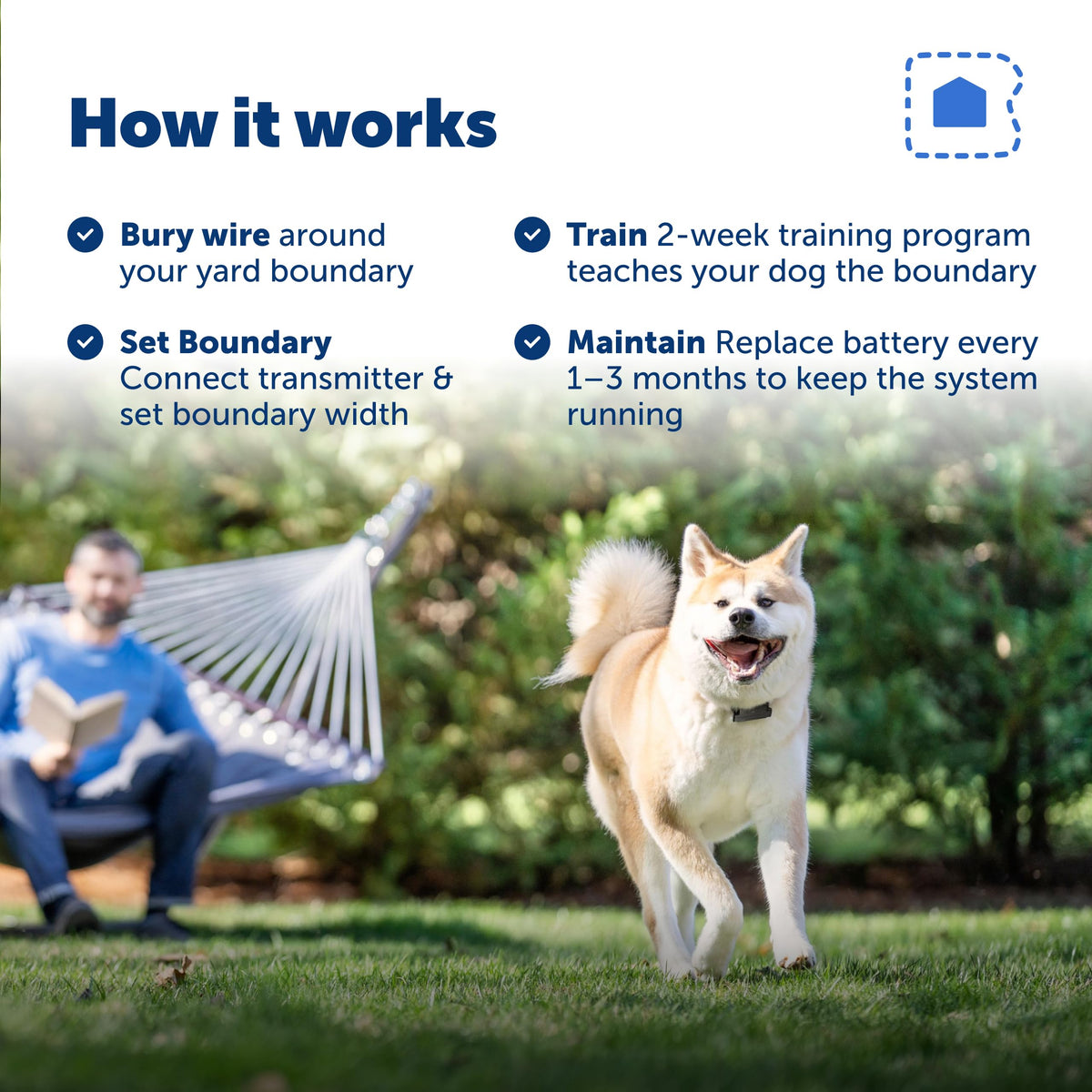 PetSafe Adjustable Training Collar for Dogs with Secure Fit