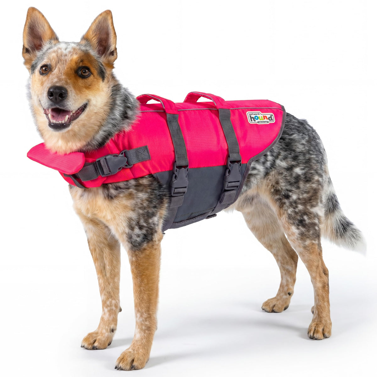 Outward Hound Dawson Red Dog Life Jacket for Large Dogs