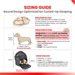 Crash-Tested Portable Small Dog Car Seat for Safe Travel