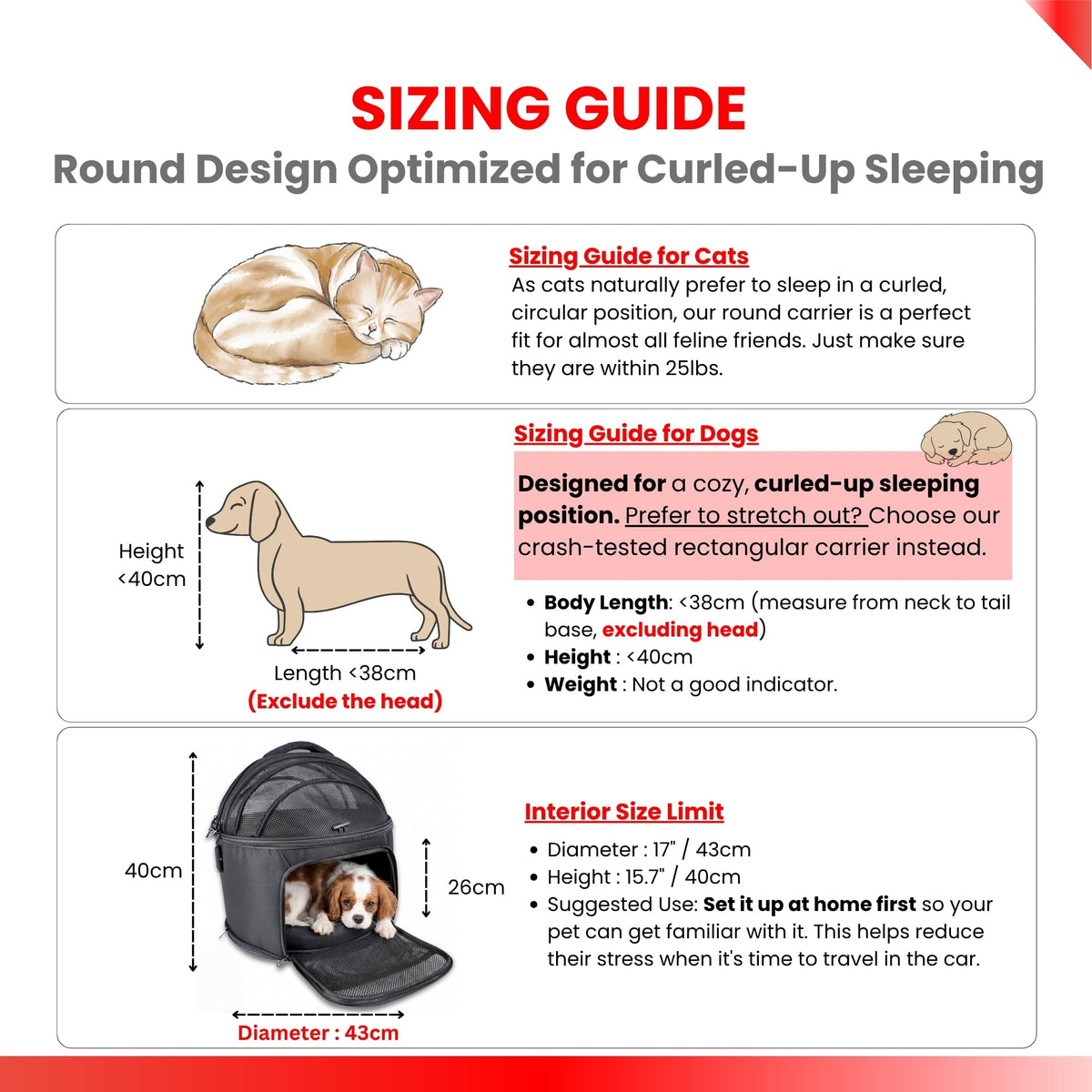 Crash-Tested Portable Small Dog Car Seat for Safe Travel