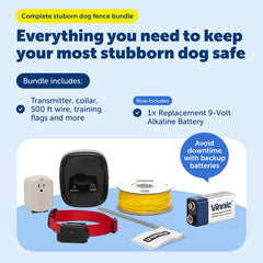 PetSafe Adjustable Training Collar for Dogs with Secure Fit