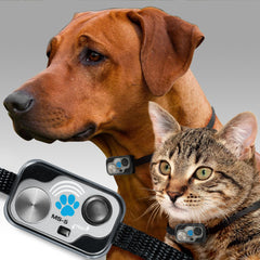 Smart Automatic Electronic Pet Door with Secure Pet Access Control