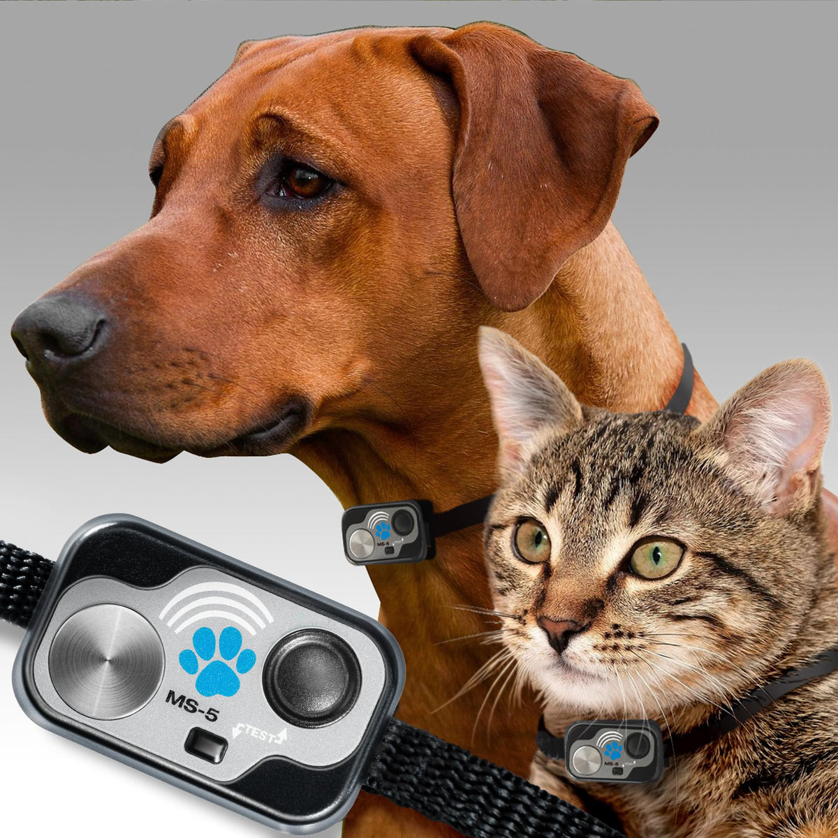 Smart Automatic Electronic Pet Door with Secure Pet Access Control
