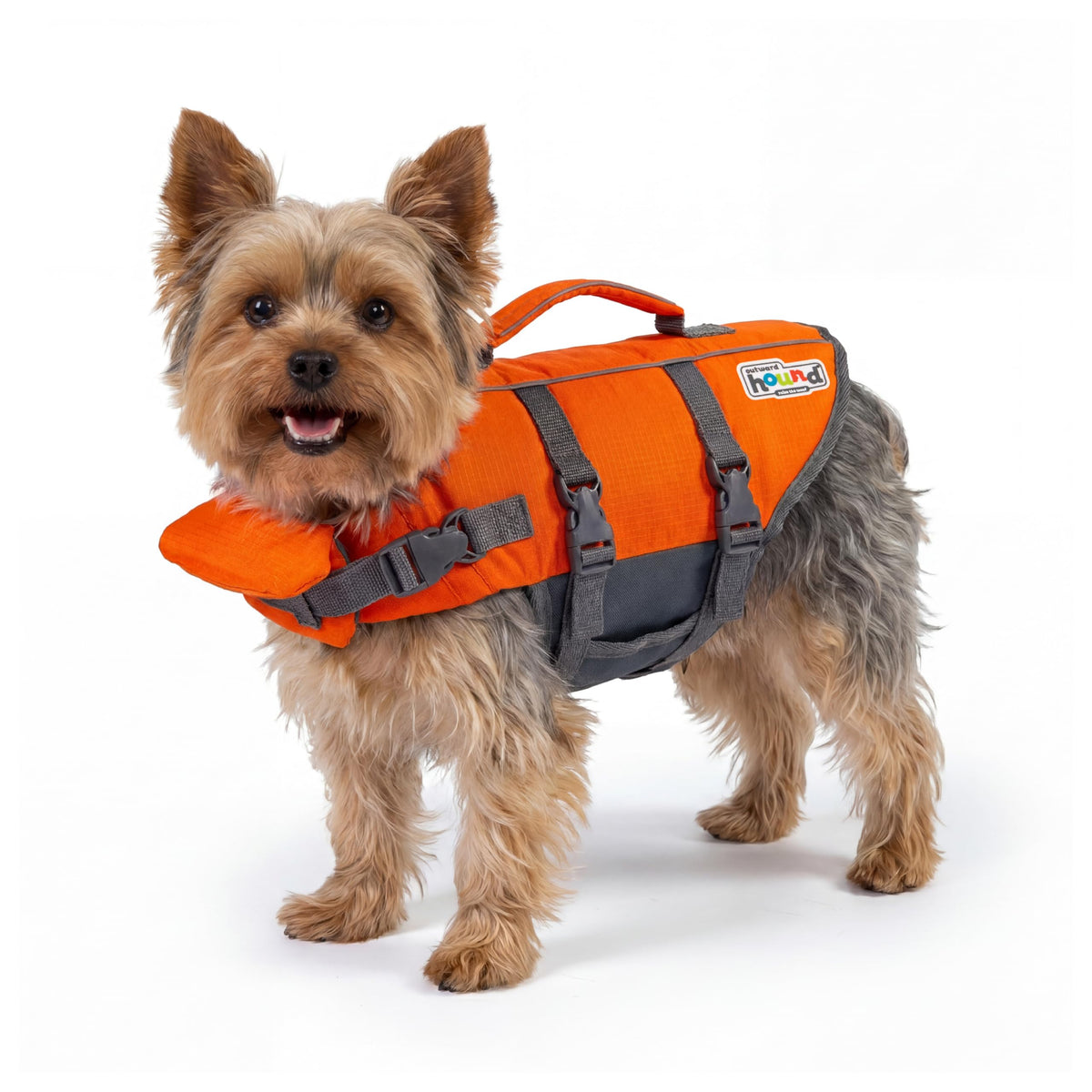 Outward Hound Dawson Red Dog Life Jacket for Large Dogs