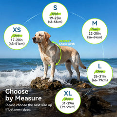 Sports-Style Dog Life Vest for Swimming & Water Safety