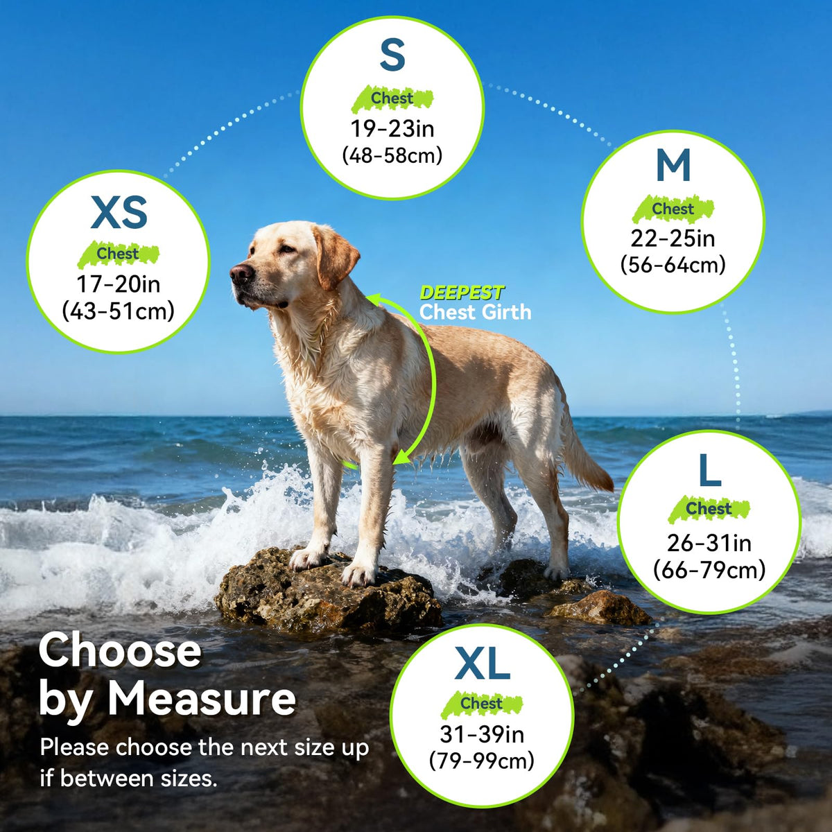 Sports-Style Dog Life Vest for Swimming & Water Safety