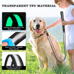 Rechargeable LED Dog Leash with 7 Lighting Modes & Padded Handle