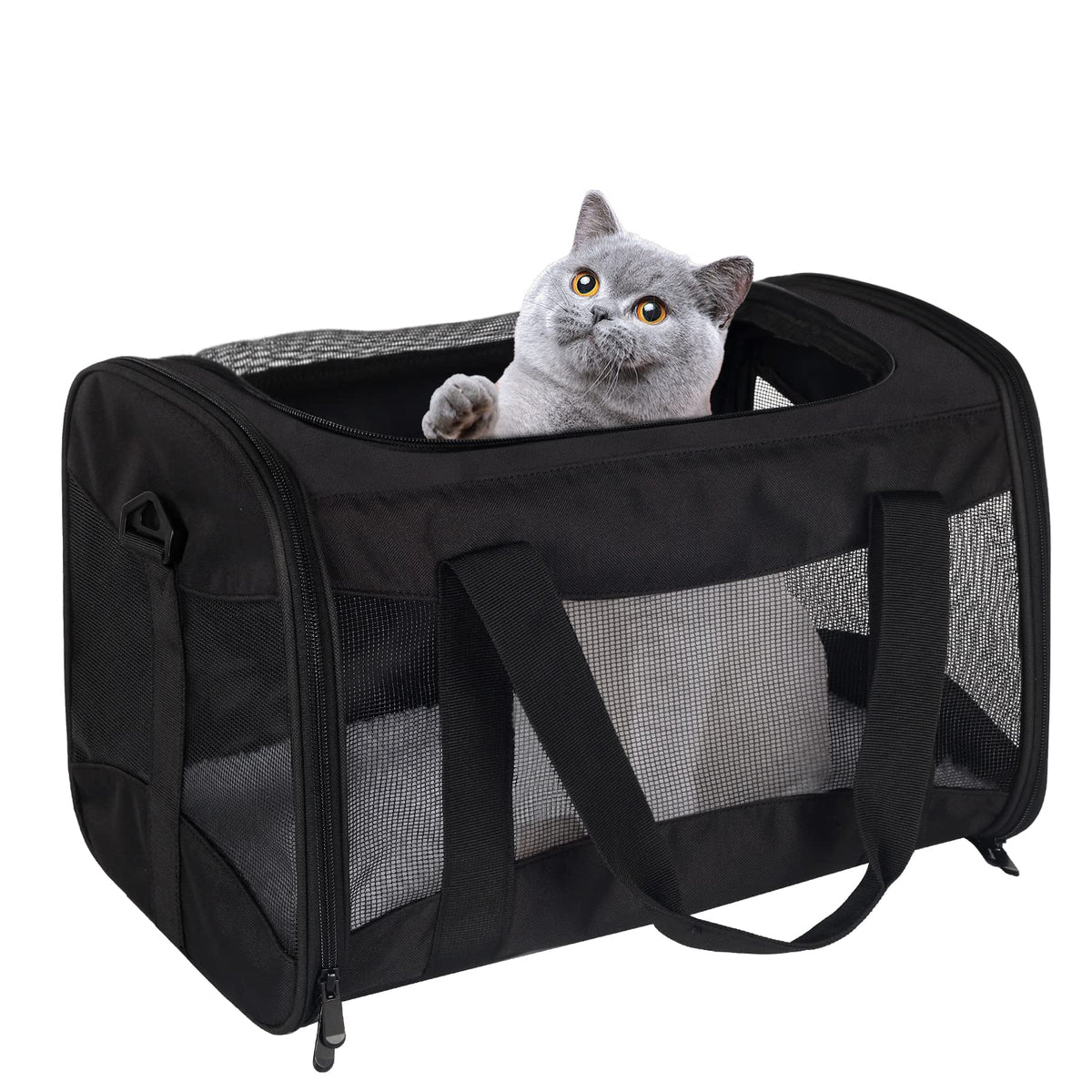 Airline-Approved Breathable Pet Carrier for Cats & Small Dogs