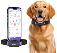 AI Dog Health Monitoring Collar with GPS & 24/7 Vital Tracking