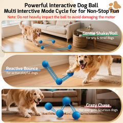 Interactive Automatic Dog Ball Toy, IPX7 Waterproof & Rechargeable