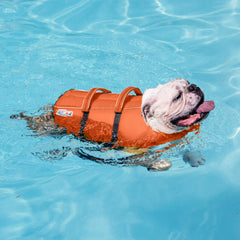 Outward Hound Dawson Red Dog Life Jacket for Large Dogs