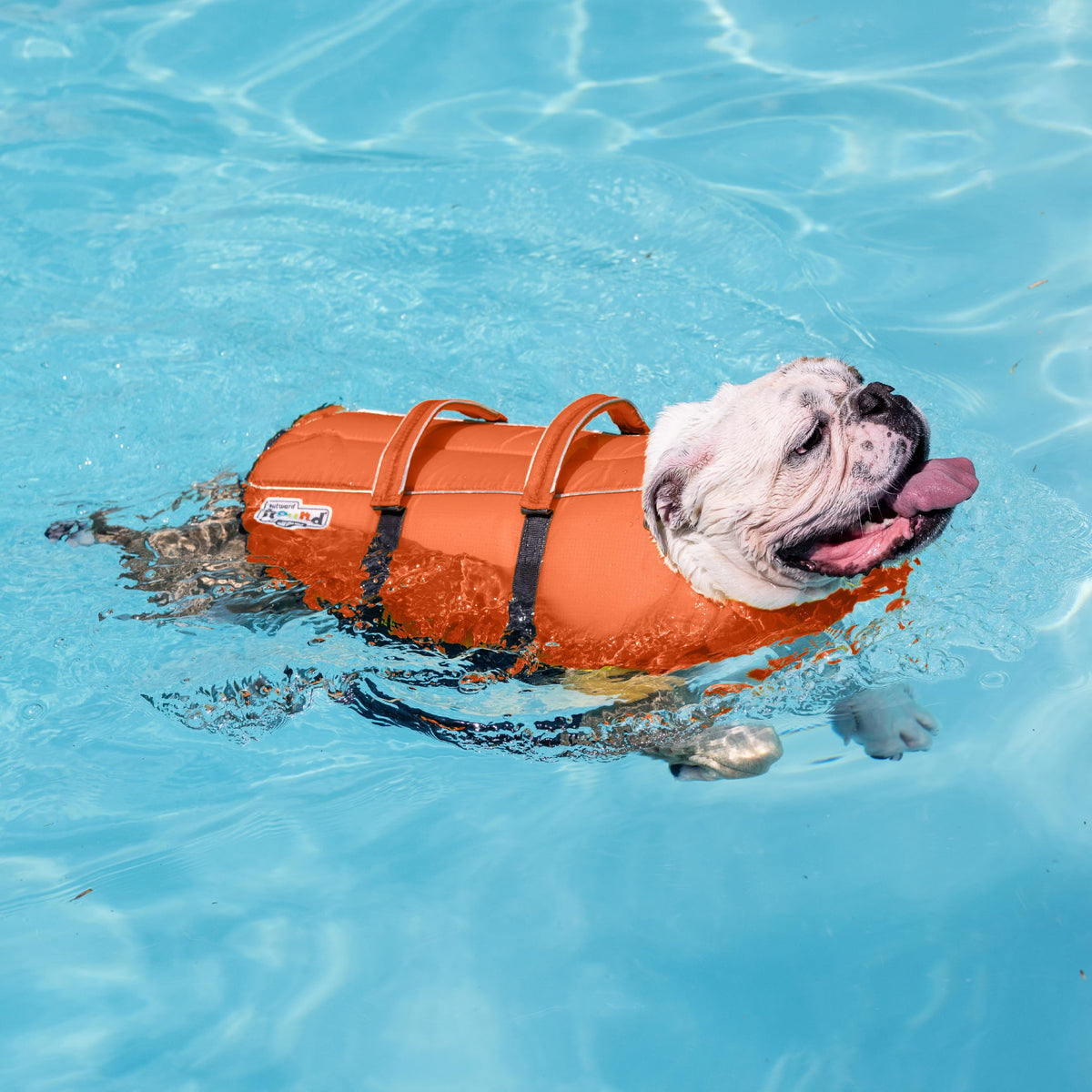 Outward Hound Dawson Red Dog Life Jacket for Large Dogs