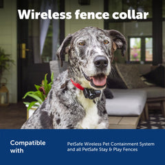 PetSafe Wireless Pet Fence Receiver Collar for Dogs & Cats