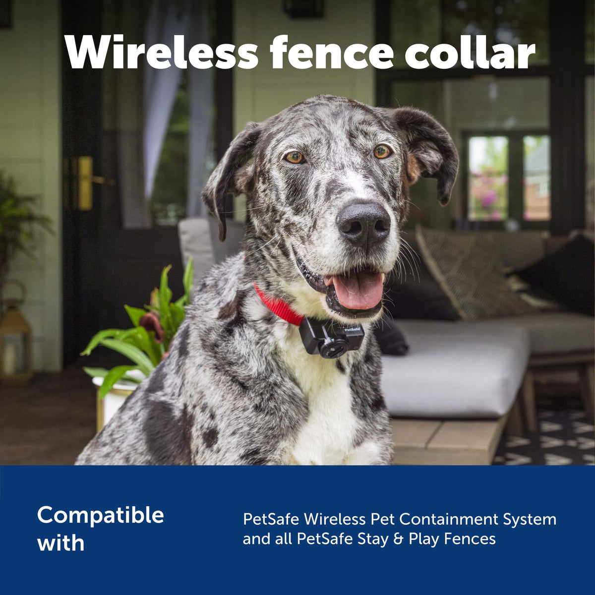 PetSafe Wireless Pet Fence Receiver Collar for Dogs & Cats