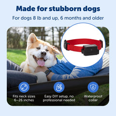 PetSafe Adjustable Training Collar for Dogs with Secure Fit