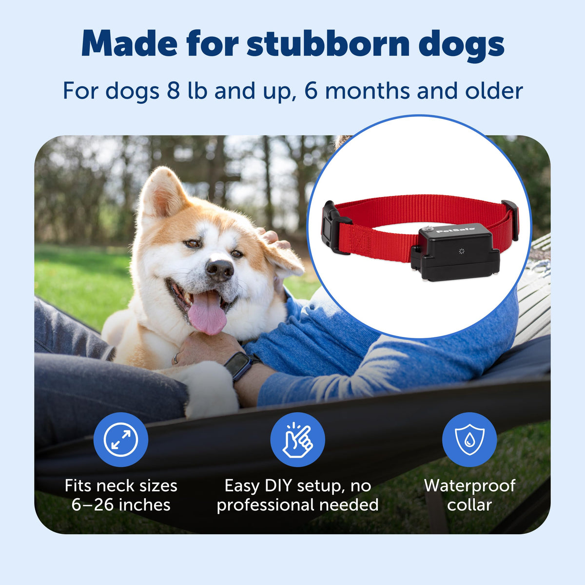 PetSafe Adjustable Training Collar for Dogs with Secure Fit