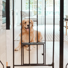 Extra-Wide Pressure-Mounted Pet Safety Gate with Small Pet Door
