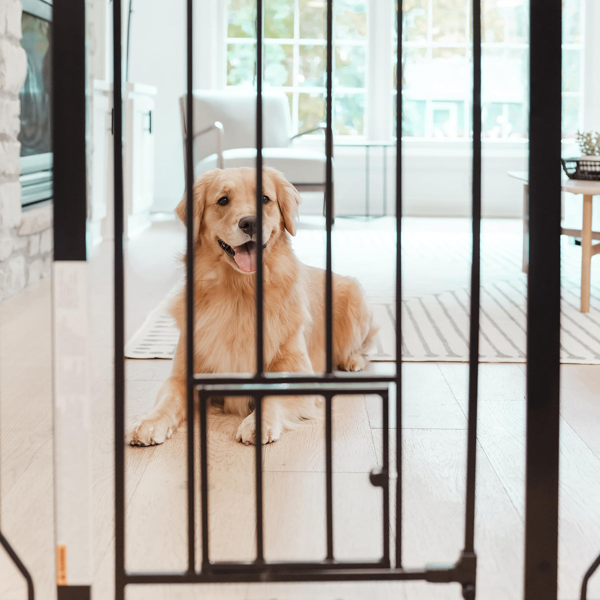 Extra-Wide Pressure-Mounted Pet Safety Gate with Small Pet Door