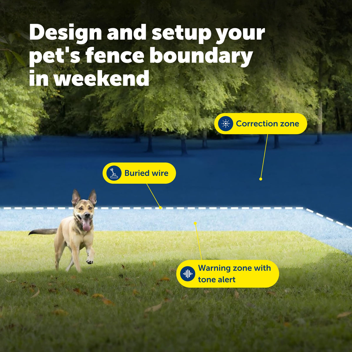 PetSafe Adjustable Training Collar for Dogs with Secure Fit