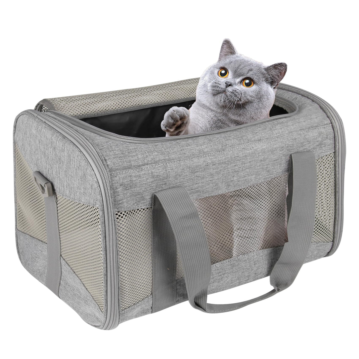 Airline-Approved Breathable Pet Carrier for Cats & Small Dogs