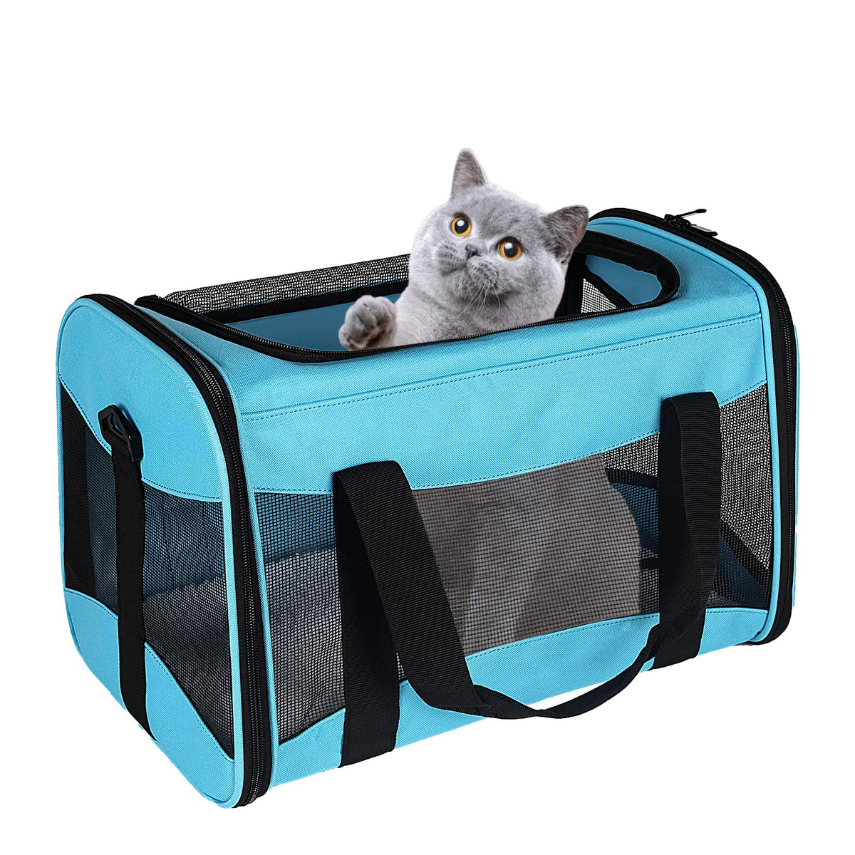 Airline-Approved Breathable Pet Carrier for Cats & Small Dogs