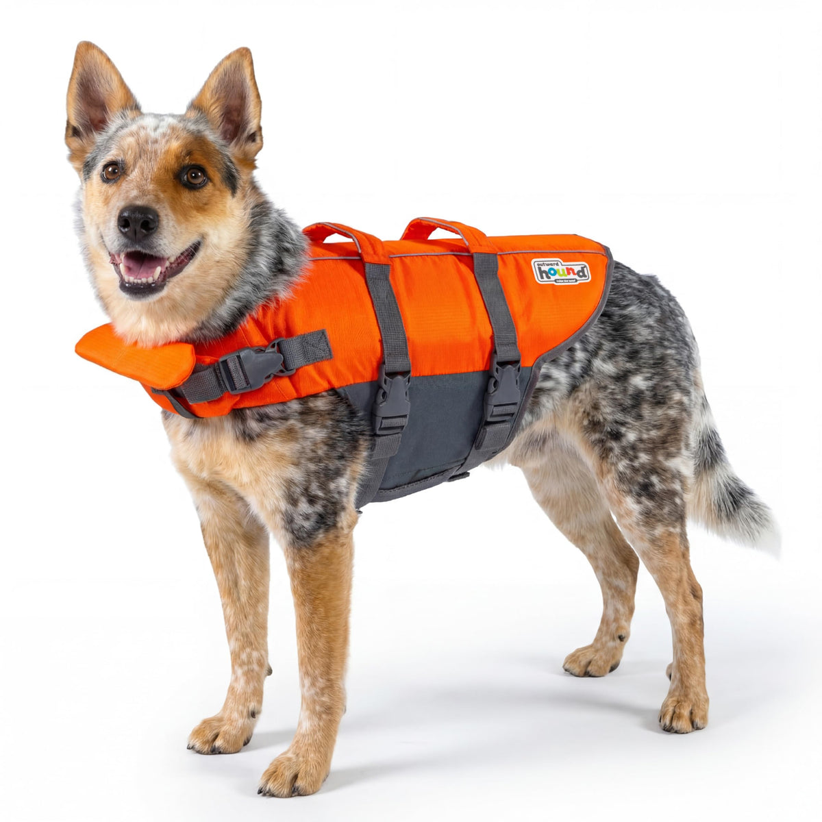 Outward Hound Dawson Red Dog Life Jacket for Large Dogs