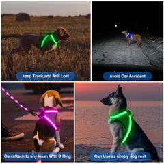 ChalkLit Light-Up Dog Harness for Nighttime Visibility