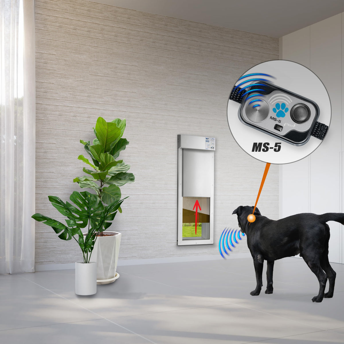 Smart Automatic Electronic Pet Door with Secure Pet Access Control
