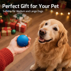 Interactive Automatic Dog Ball Toy, IPX7 Waterproof & Rechargeable