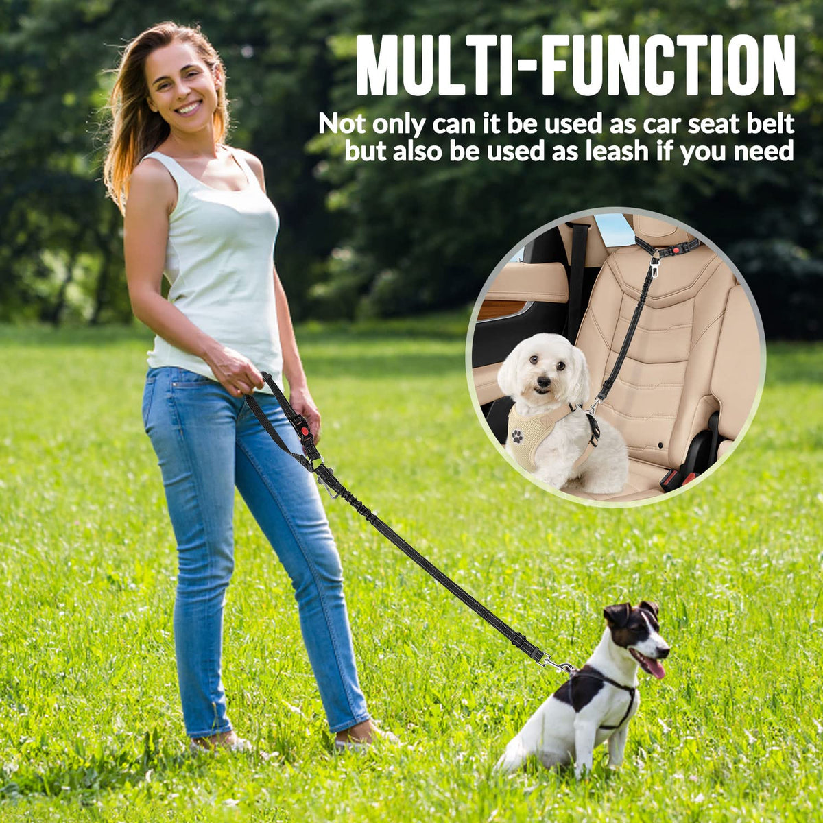 2-Pack Dog Car Seat Belt with Adjustable Bungee for Safe Travel