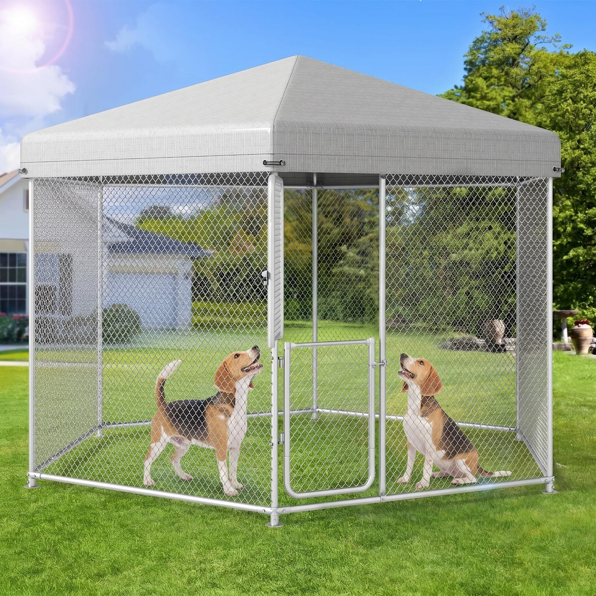 Outdoor Dog Kennel with Rotating Feeder Bowls, 7.5 x 7.5 ft