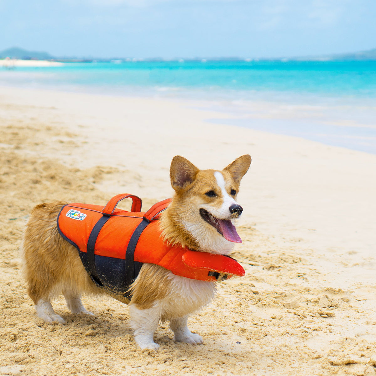 Outward Hound Dawson Red Dog Life Jacket for Large Dogs
