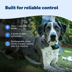PetSafe Adjustable Training Collar for Dogs with Secure Fit